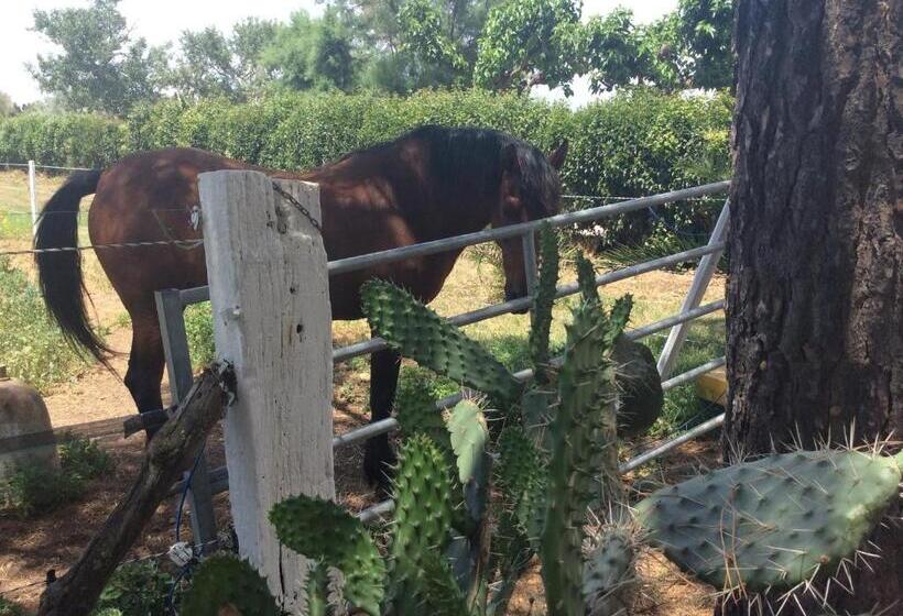 Пансион Terre De Boheme