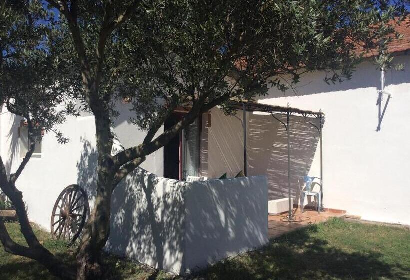 Пансион Terre De Boheme