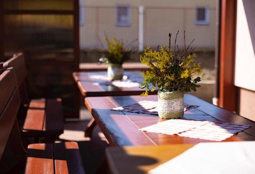 بنسيون Ubytování U Vávrů