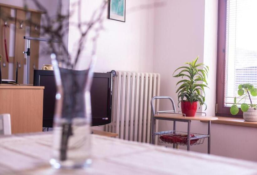 بنسيون Ubytování U Vávrů