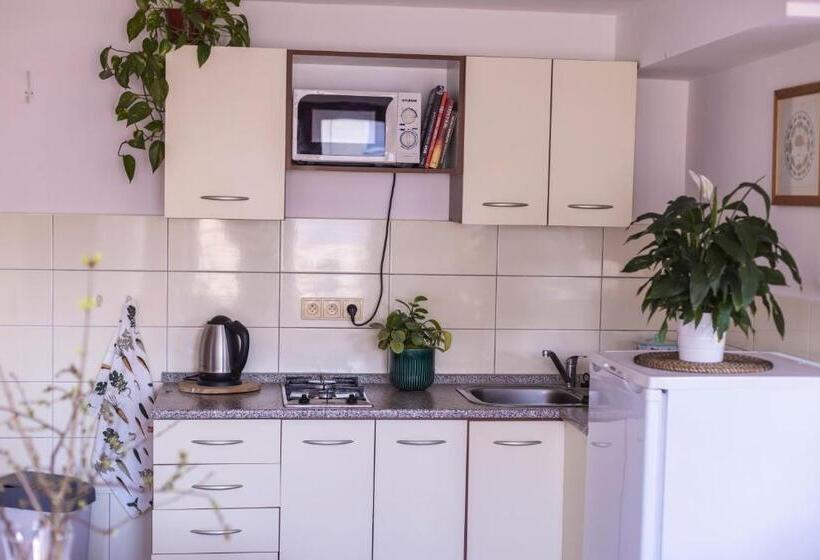 بنسيون Ubytování U Vávrů