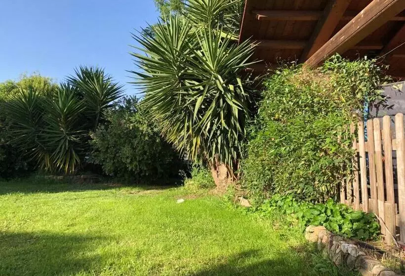 B&b Le Terre Cotte