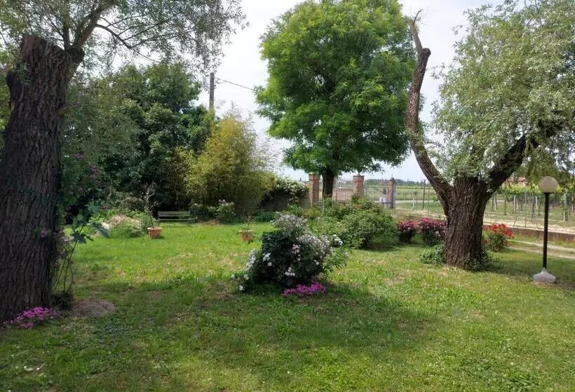 ベッドアンドブレックファースト Casa A Soliera