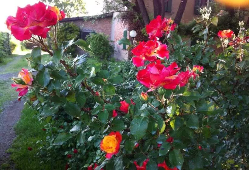 ベッドアンドブレックファースト Casa A Soliera