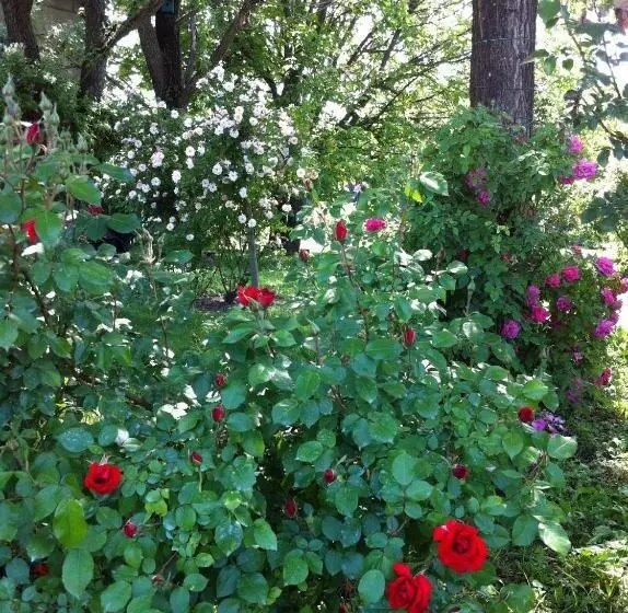 ベッドアンドブレックファースト Casa A Soliera