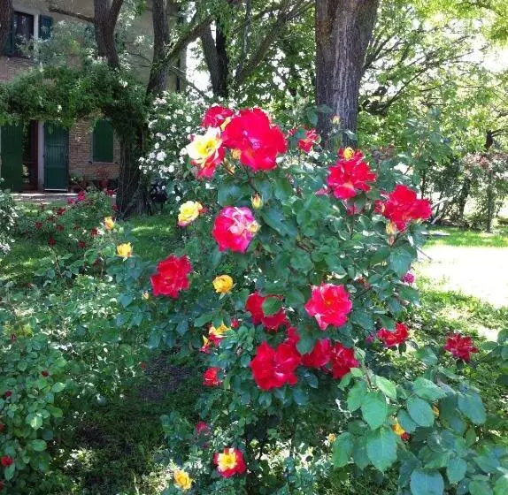 ベッドアンドブレックファースト Casa A Soliera