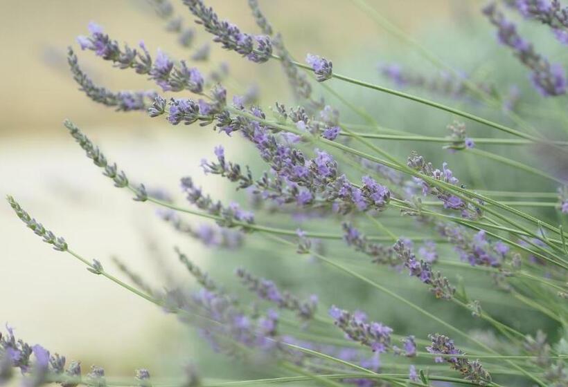 مبيت وإفطار L Ermitage De Saint Bardoux