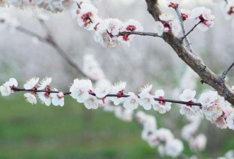 مبيت وإفطار L Ermitage De Saint Bardoux