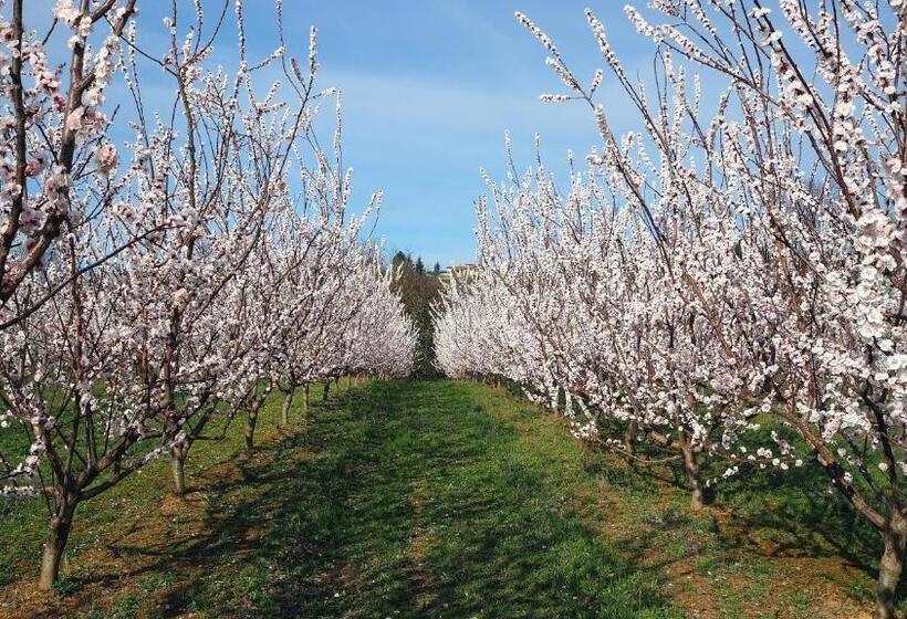 مبيت وإفطار L Ermitage De Saint Bardoux
