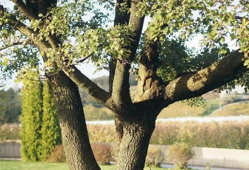 Aamiaismajoitus (B&B) L Ermitage De Saint Bardoux