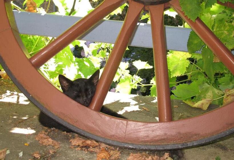 צימר Le Corral Chambre D Hôte