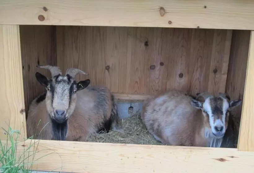 Aamiaismajoitus (B&B) Le Corral Chambre D Hôte
