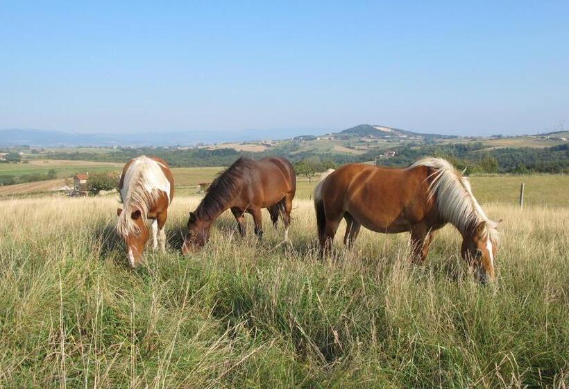 צימר Le Corral Chambre D Hôte