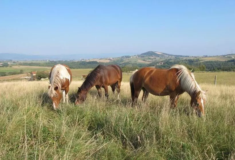 Aamiaismajoitus (B&B) Le Corral Chambre D Hôte