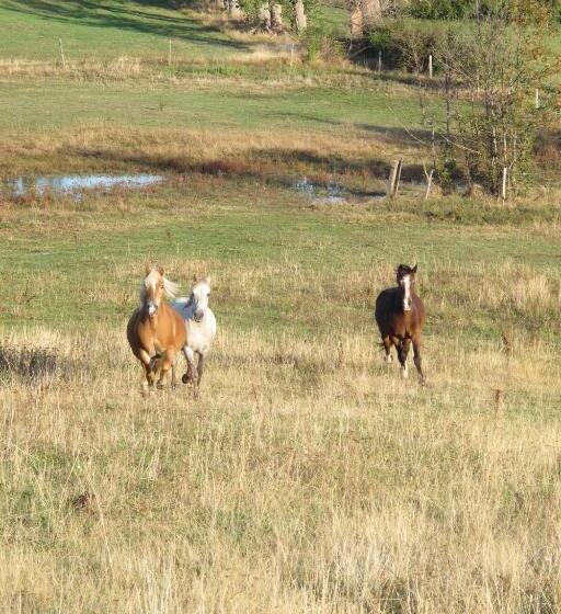 צימר Le Corral Chambre D Hôte
