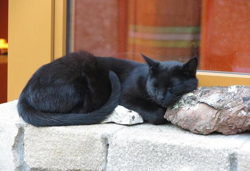 צימר Le Corral Chambre D Hôte