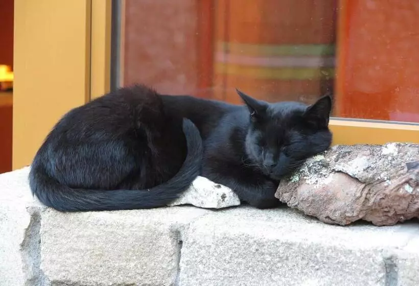 Aamiaismajoitus (B&B) Le Corral Chambre D Hôte