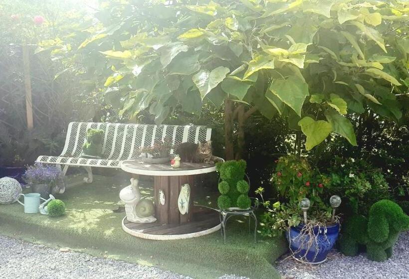 住宿加早餐  O Jardin