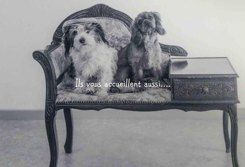 住宿加早餐  O Jardin