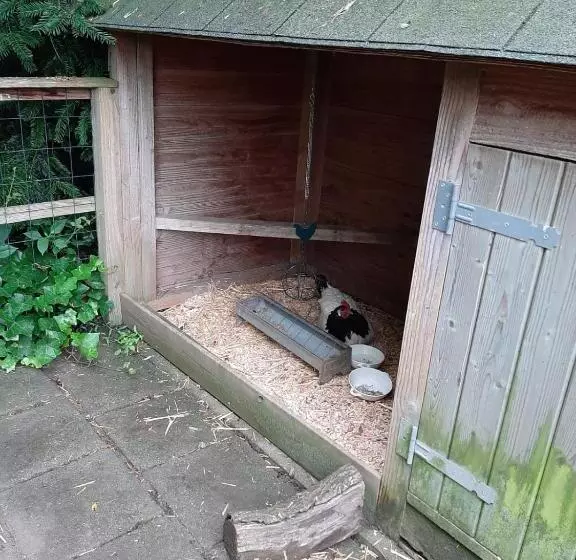 ベッドアンドブレックファースト Thuis Bij Elles