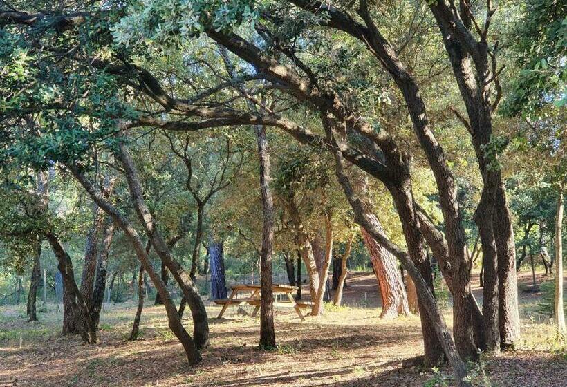 Bed & Breakfast Au Pays De Cézanne