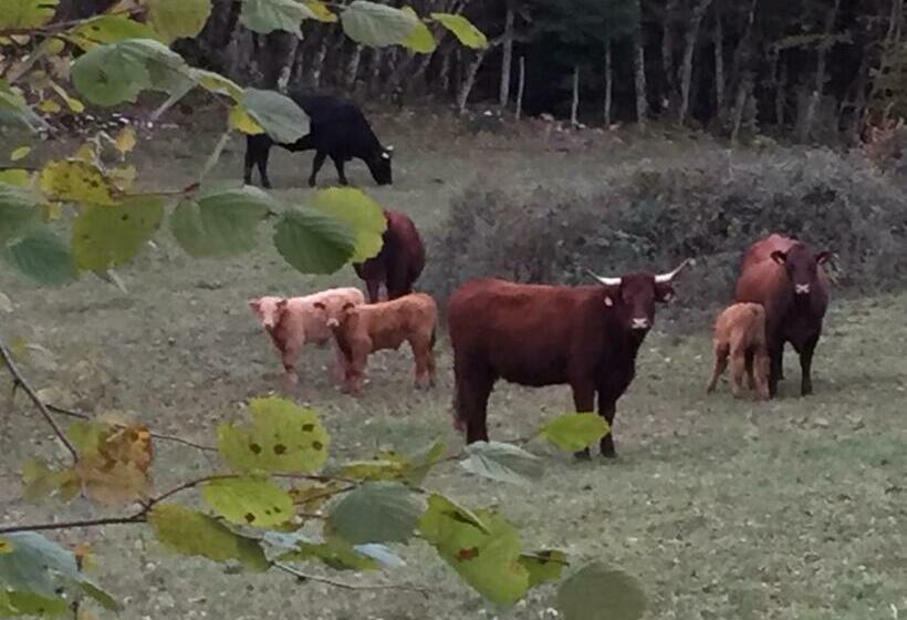 ホテル Auberge à La Vieille Cure