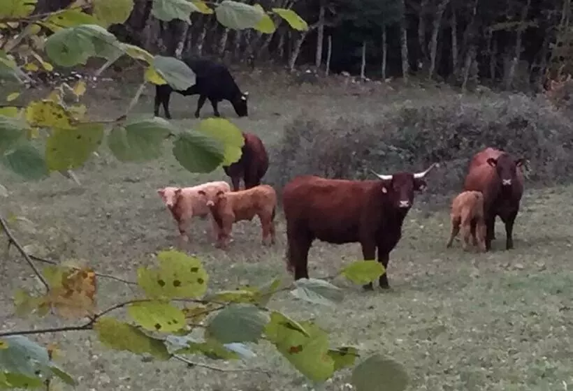 Hotelli Auberge à La Vieille Cure