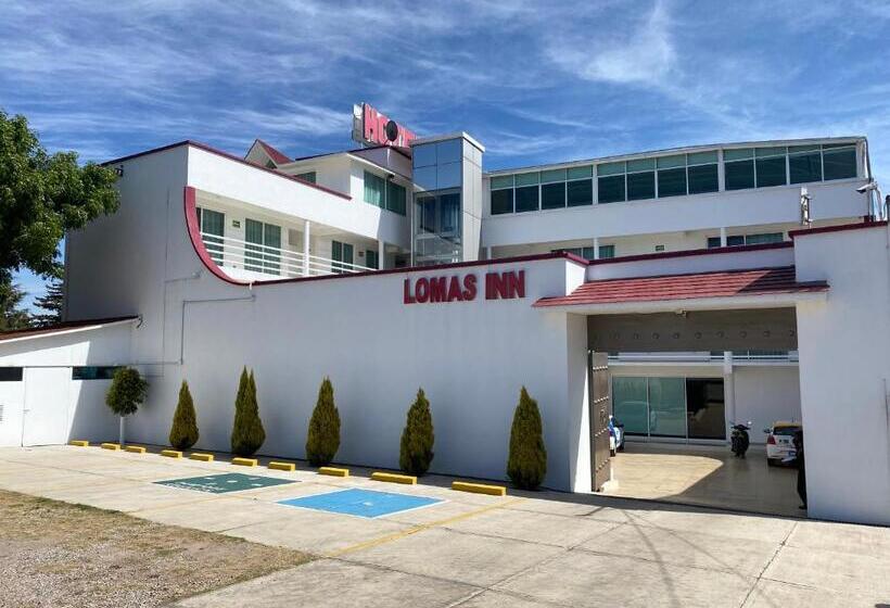 Отель Lomas Inn