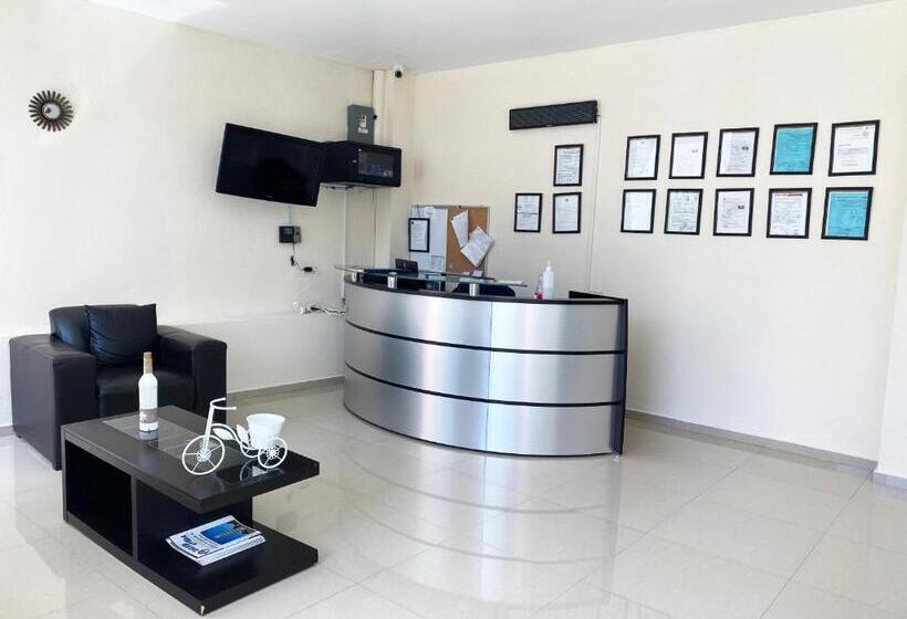 Отель Lomas Inn