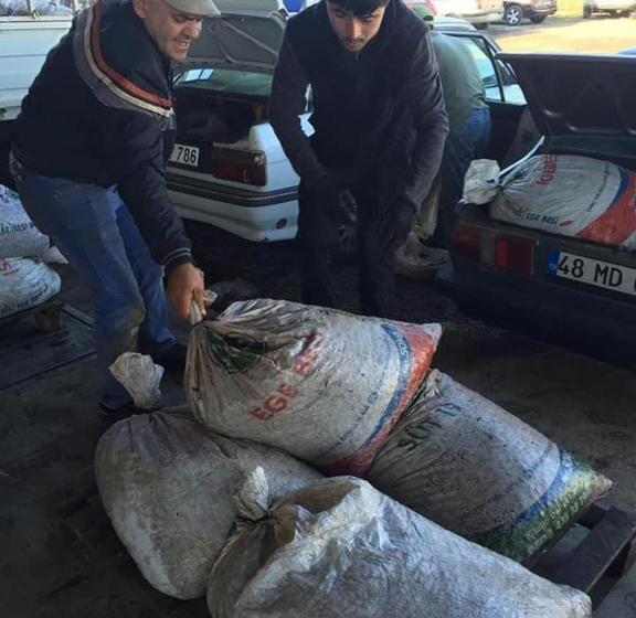 호텔 Palace Gokbel