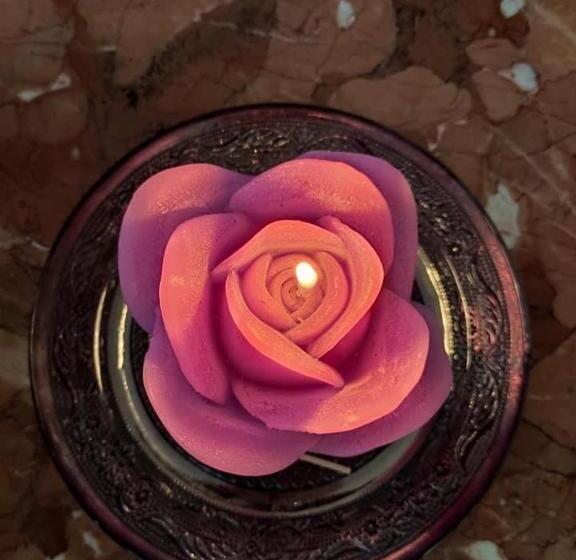 호텔 Palace Gokbel