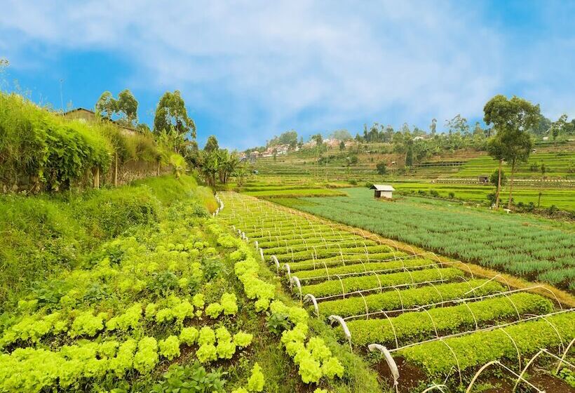 Отель Spot On 90992 Eco Tourism Desa Panundaan Ciwidey