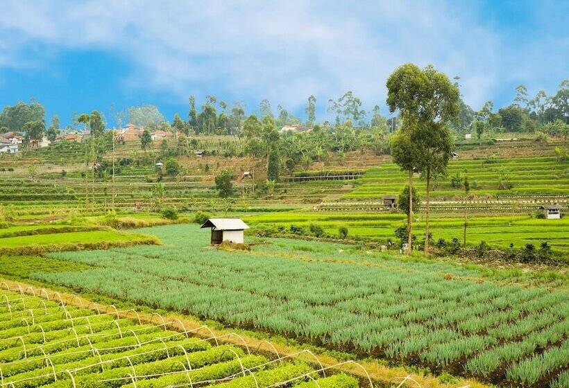 Отель Spot On 90992 Eco Tourism Desa Panundaan Ciwidey