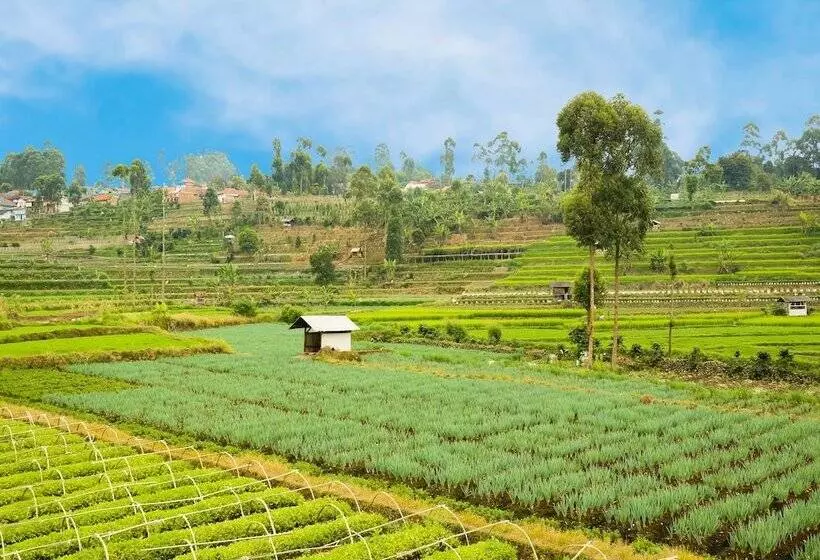 ホテル Spot On 90992 Eco Tourism Desa Panundaan Ciwidey