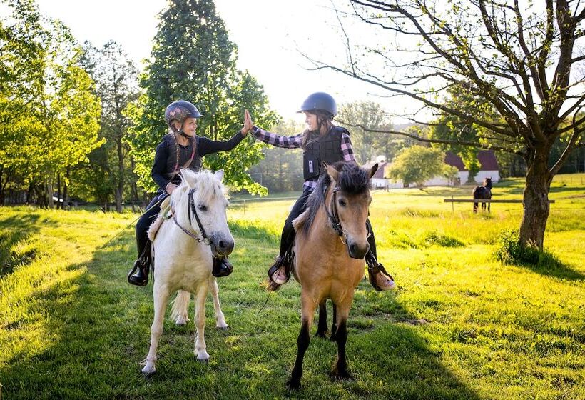 פנסיון Andělský Dvůr