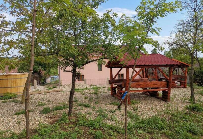 ペンション Casa Bia Cribo Sannicolau De Munte Bai Termale