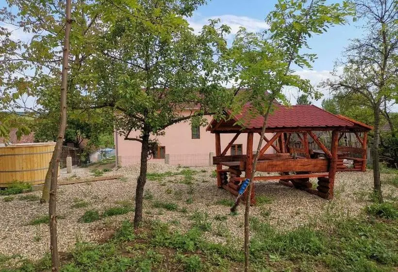 Majatalo Casa Bia Cribo Sannicolau De Munte   Bai Termale