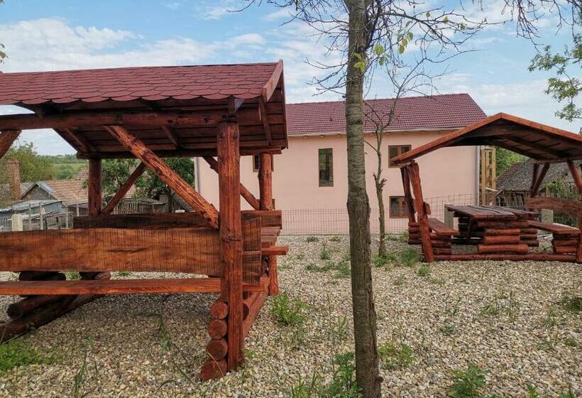 ペンション Casa Bia Cribo Sannicolau De Munte Bai Termale