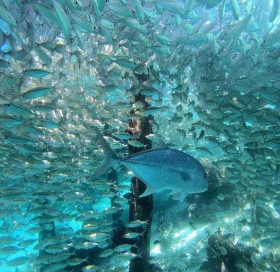 Majatalo Gibran Guest House