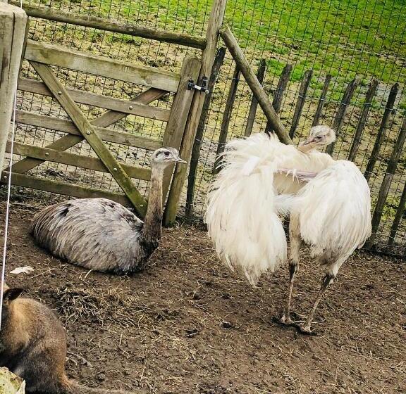 פנסיון Mmghome   Gîte à La Ferme