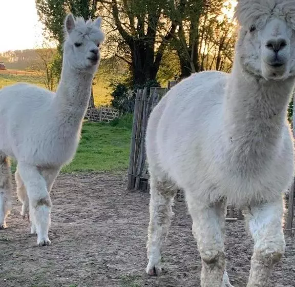 Majatalo Mmghome   Gîte à La Ferme