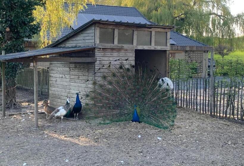 פנסיון Mmghome   Gîte à La Ferme