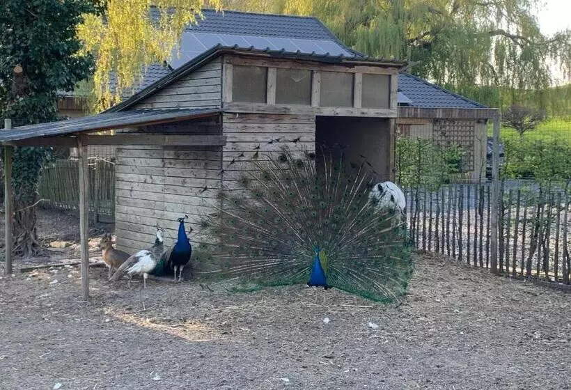 Majatalo Mmghome   Gîte à La Ferme