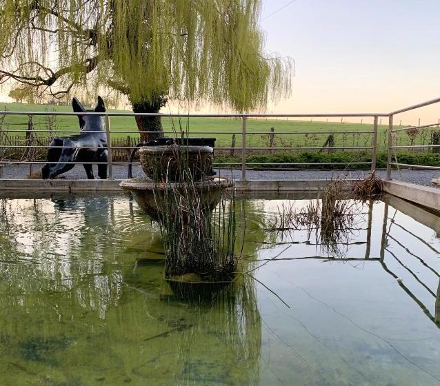 פנסיון Mmghome   Gîte à La Ferme