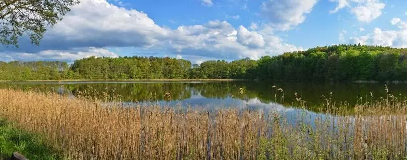 Majatalo Seehaus Hartwigsdorf