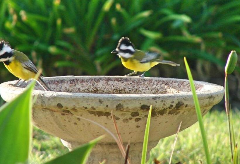 Austiny Bed And Breakfast Victor Harbor