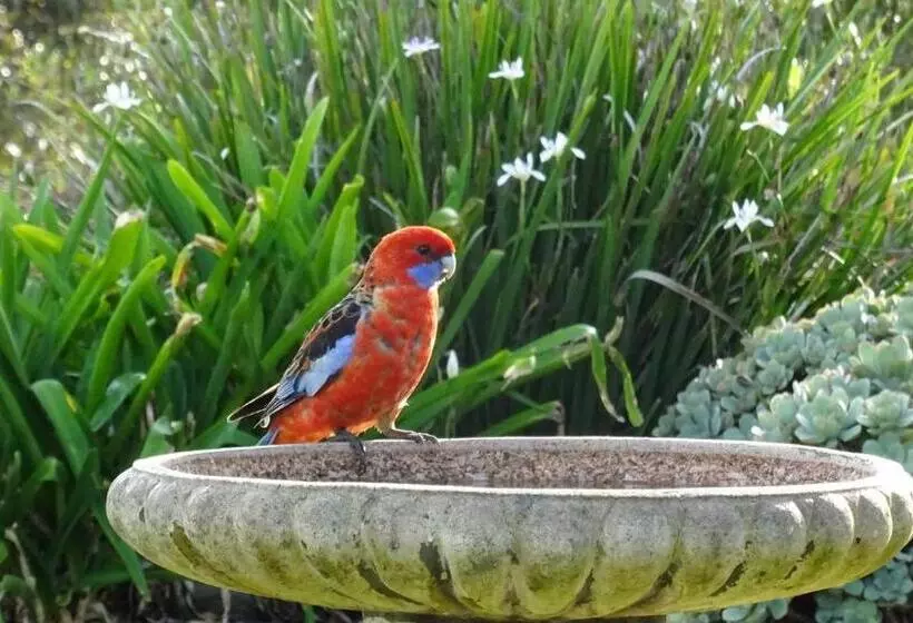 Austiny Bed And Breakfast Victor Harbor