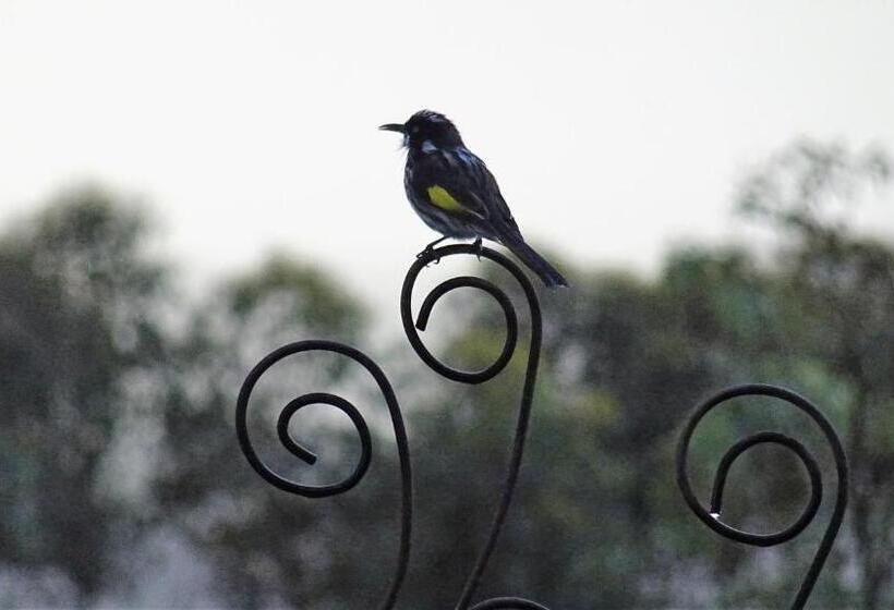 Austiny Bed And Breakfast Victor Harbor