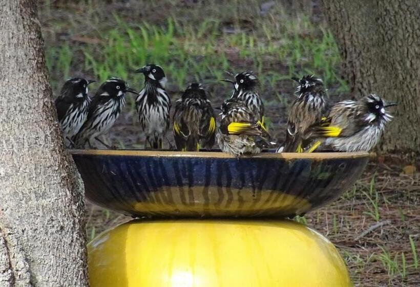 Austiny Bed And Breakfast Victor Harbor