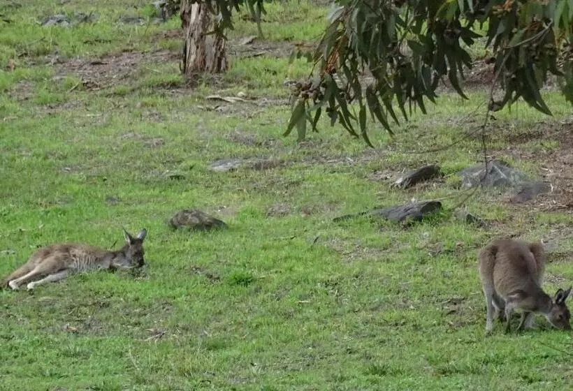 Austiny Bed And Breakfast Victor Harbor